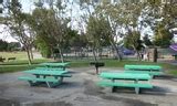 Immerse Yourself in Nature: Magic Mountain Picnic Area